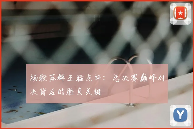 杨毅苏群王猛点评:总决赛巅峰对决背后的胜负关键