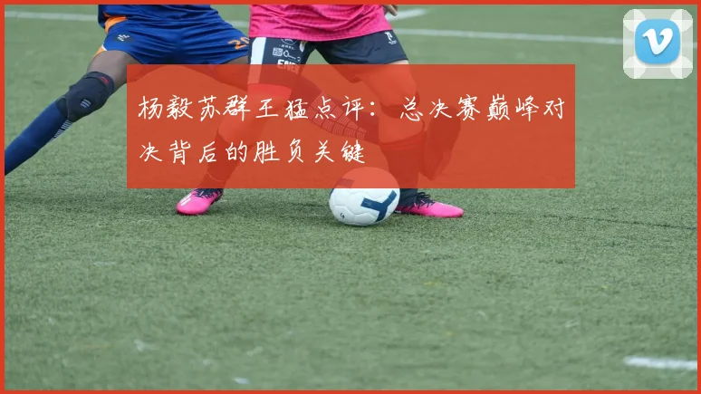 杨毅苏群王猛点评:总决赛巅峰对决背后的胜负关键